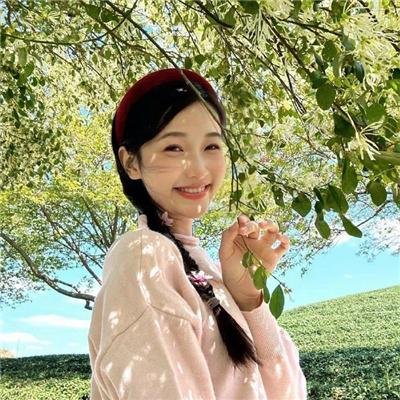 狗也爱钻石